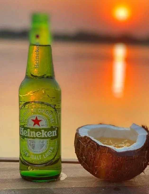 Garrafa de cerveja e coco na beira do rio ao pôr do sol