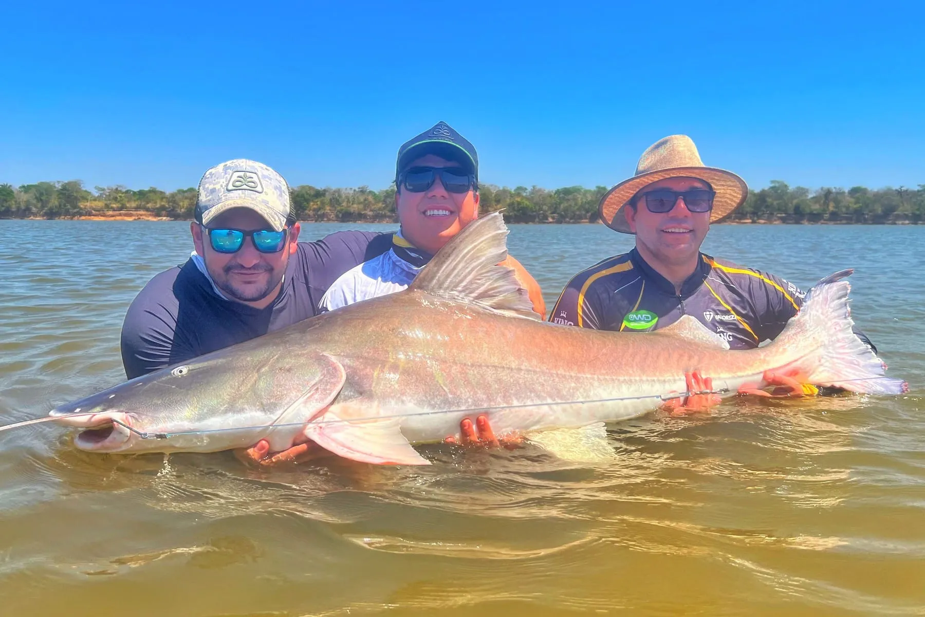 Três pescadores seguram um peixe de couro grande dentro do rio