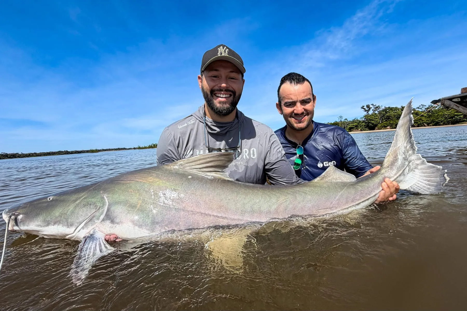 Dois pescadores seguram um peixe de couro grande dentro do rio